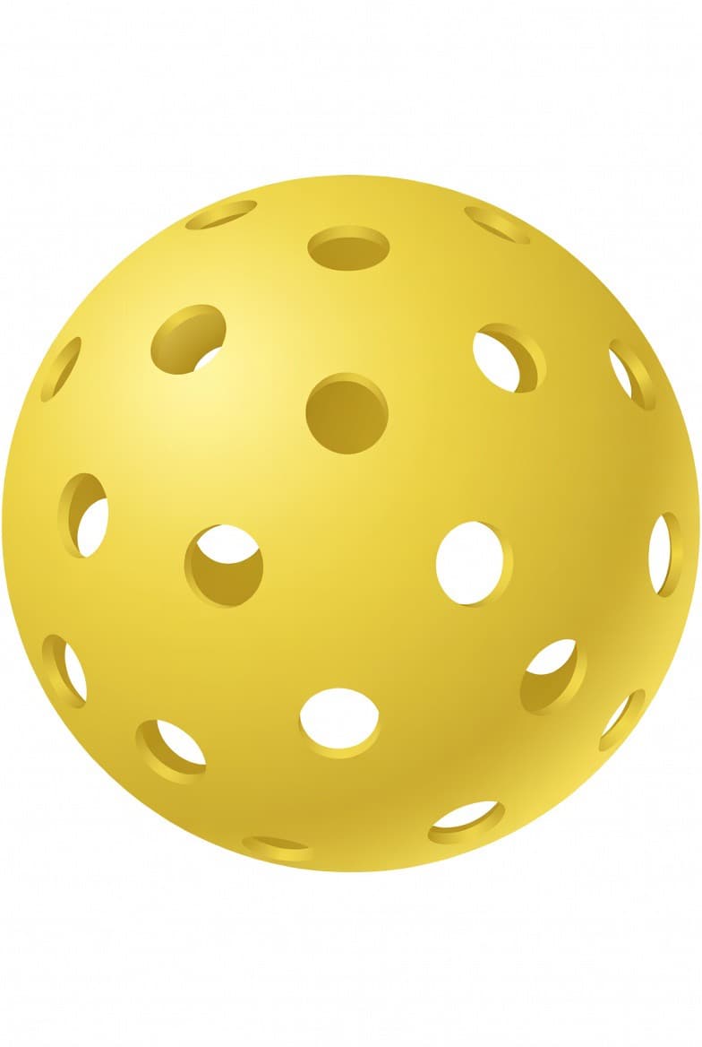 Pickleball court and players